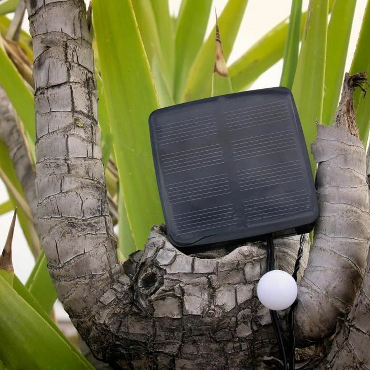 V2H5712F0E4FD7082669D4955D3964551B8R7220113P5