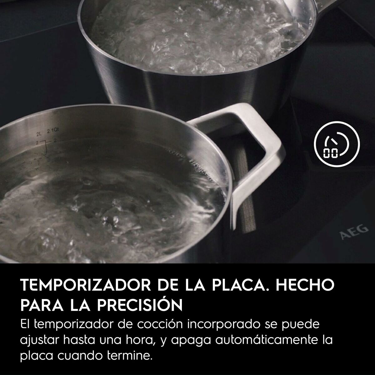 V2H00835822F09AED0B3C0F7EFF990BBEECR7116984P4